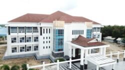Dua Dekade Lebih Konawe Selatan:Perayaan ,Harapan dan Kenyataan