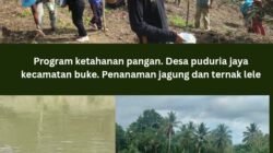 Di Tengah Polemik Keuangan Desa, Ani rintanti Kembali Buat Terobosan Baru Untuk Desa Puduria Jaya