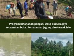 Di Tengah Polemik Keuangan Desa, Ani rintanti Kembali Buat Terobosan Baru Untuk Desa Puduria Jaya