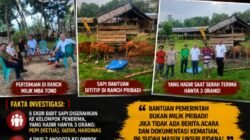 Pokir Anggota DPRD Mbatono Jadi Sorotan, Diduga Bantuan Bibit Sapi Desa Lalonggasu di kuasai Dalam Rens Pribadinya.Nama Penerima Jadi Tumbal Administrasi