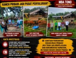 Pokir Anggota DPRD Mbatono Jadi Sorotan, Diduga Bantuan Bibit Sapi Desa Lalonggasu di kuasai Dalam Rens Pribadinya.Nama Penerima Jadi Tumbal Administrasi
